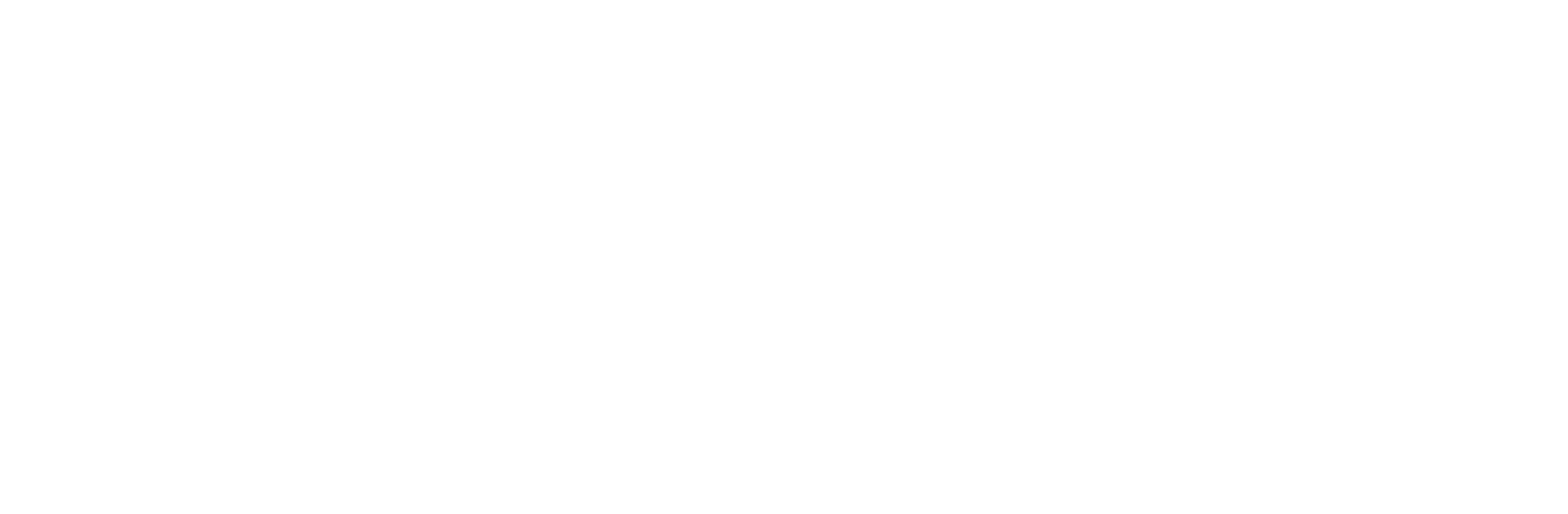 BTS Bosma Technical Services